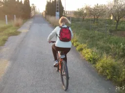 Denia de puertas afuera