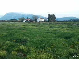 Denia de puertas afuera