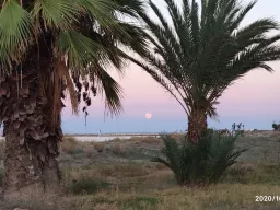 Denia de puertas afuera